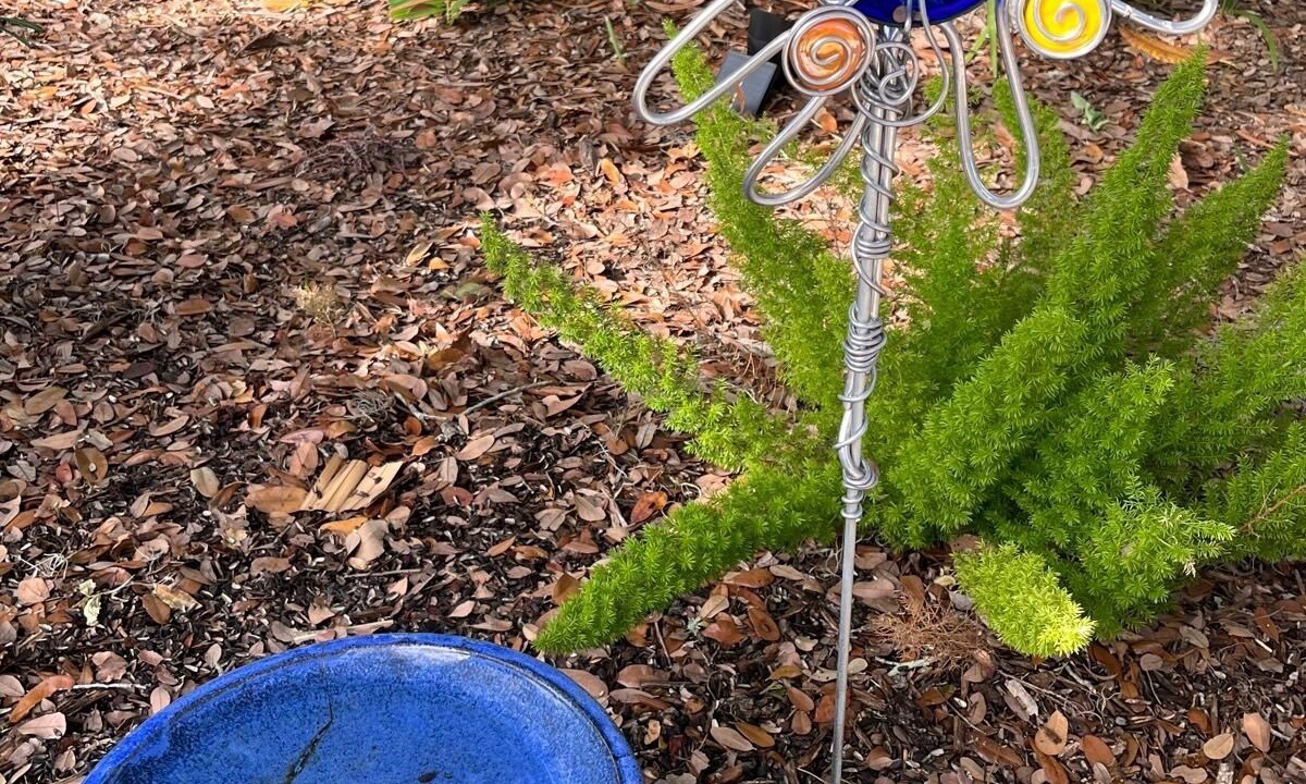 Photo of Outdoor in Safety Harbor