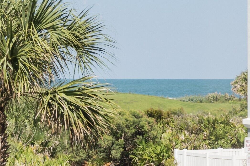 Photo of Outdoor in Palm Coast