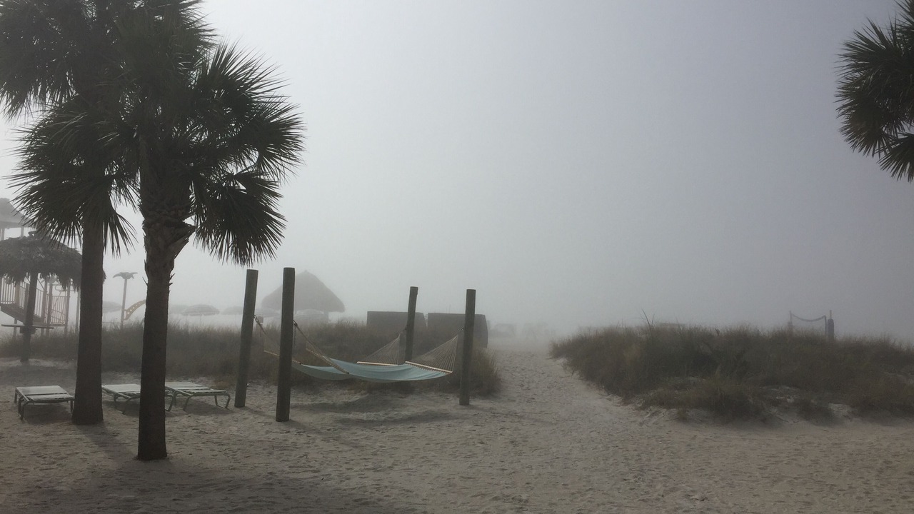 Photo of Others in Largo