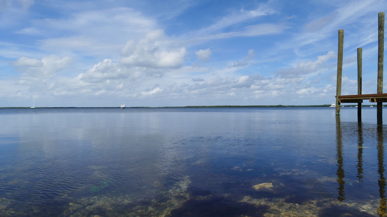 Photo of Others in Key Largo Village