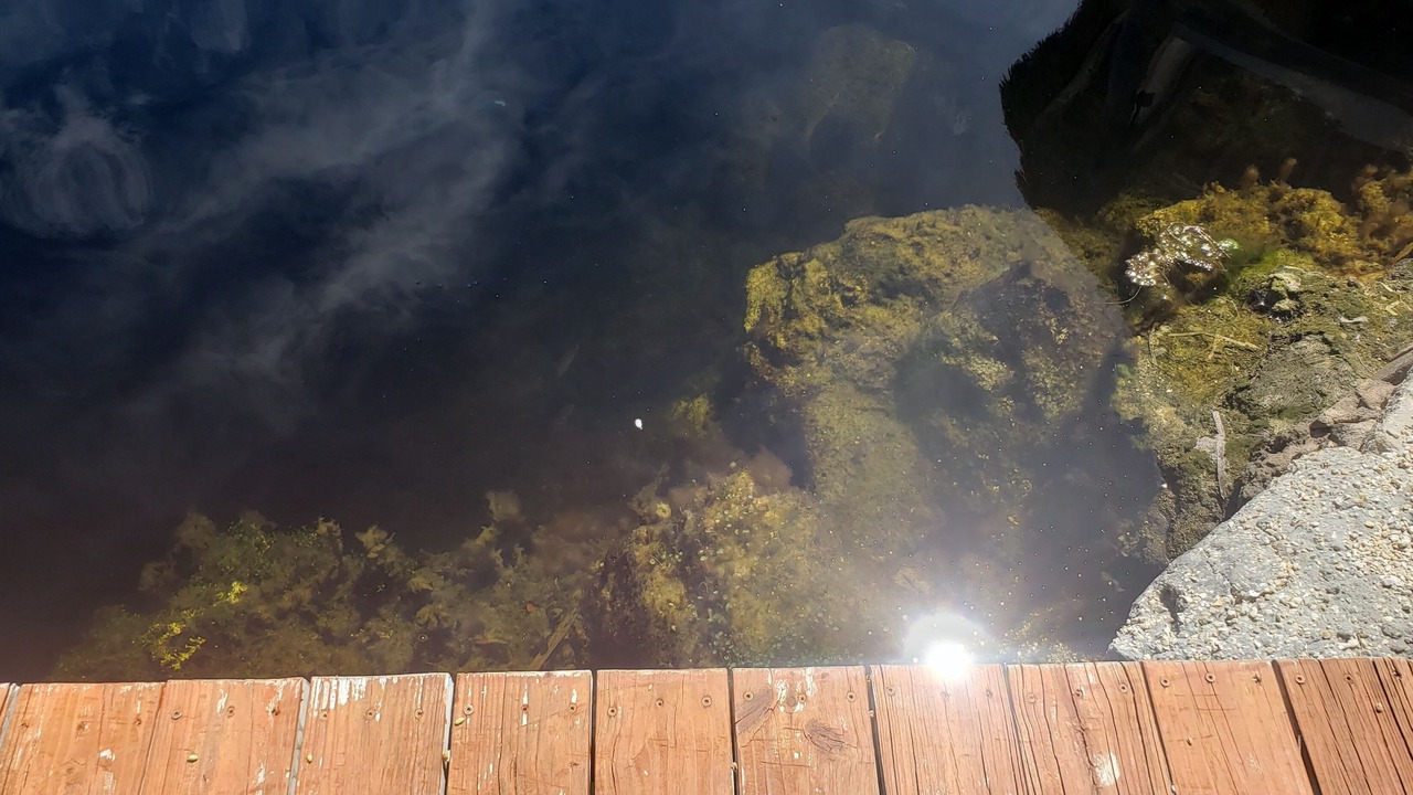 Photo of Others in Key Largo