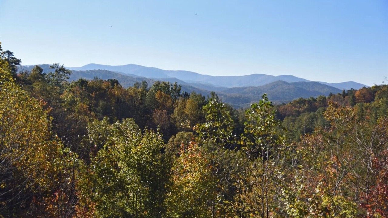Photo of Others in Foxfire Estates