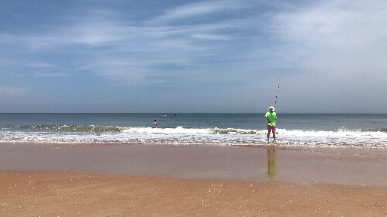 Photo of Others in Ormond-by-the-Sea