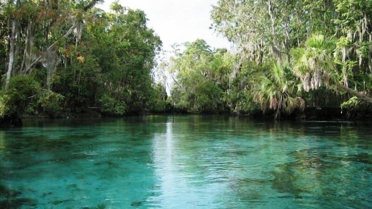 Photo of Outdoor in Springs at Kings Bay