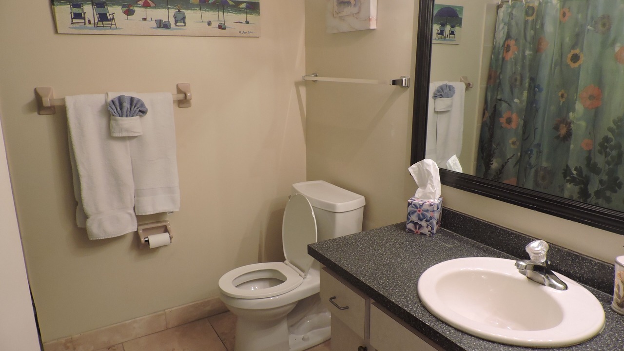 Photo of Bathroom in Springs at Kings Bay