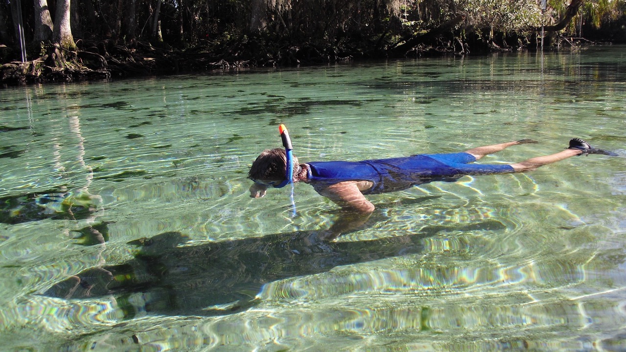Photo of Others in Springs at Kings Bay