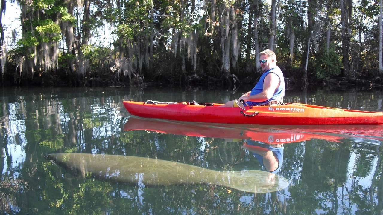 Photo of Others in Springs at Kings Bay