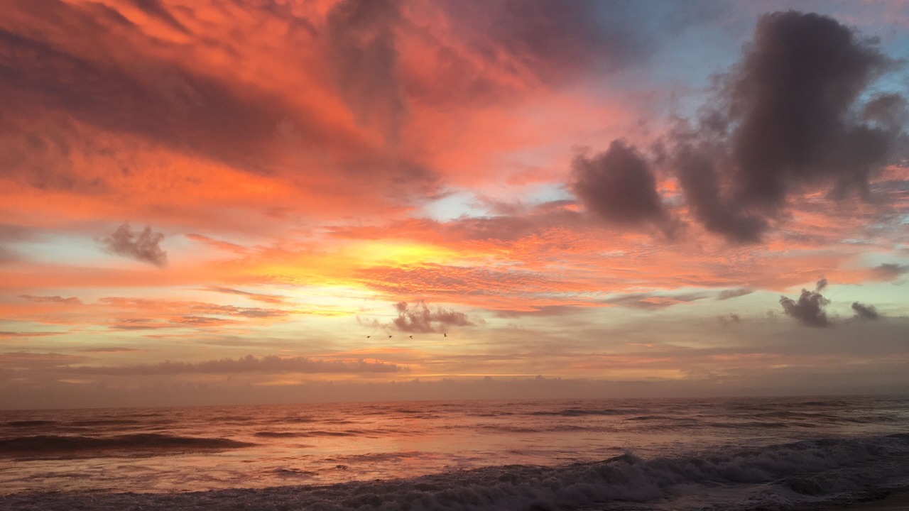 Photo of Others in Indialantic