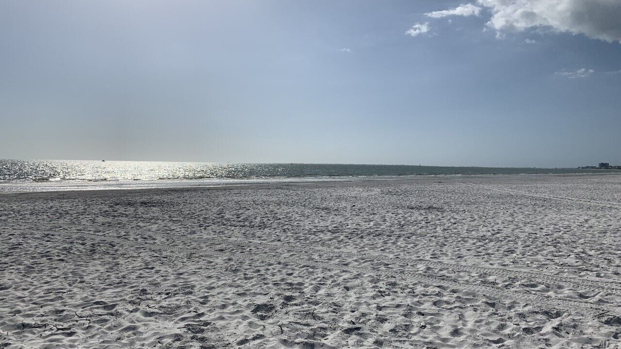 Photo of Others in Mid Island