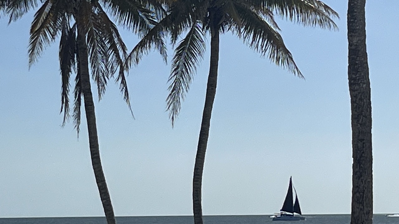 Photo of Others in Mid Island