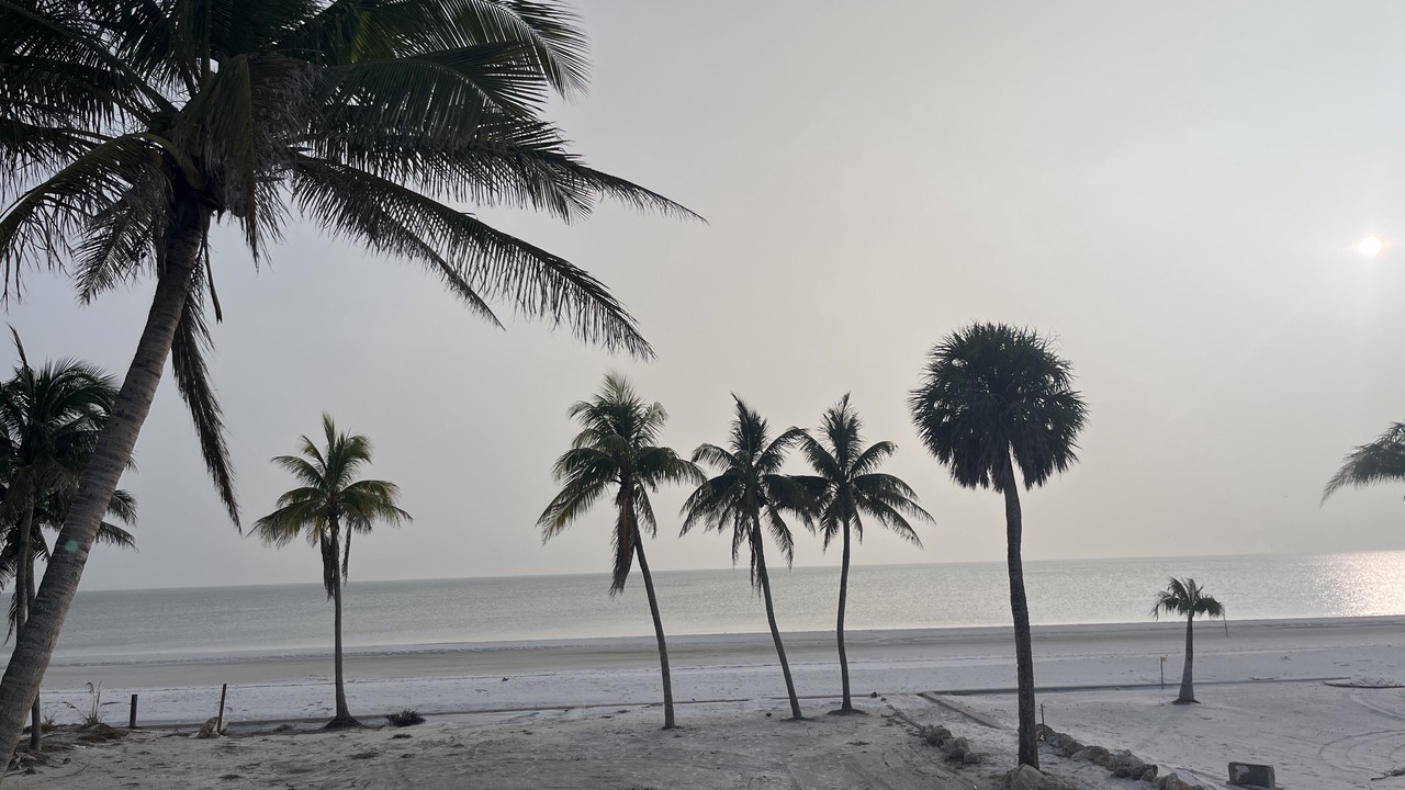 Photo of Others in Mid Island