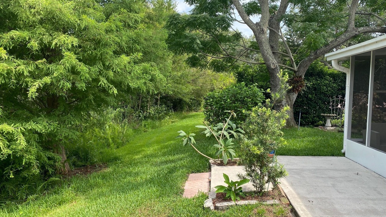 Photo of Others in Oldsmar