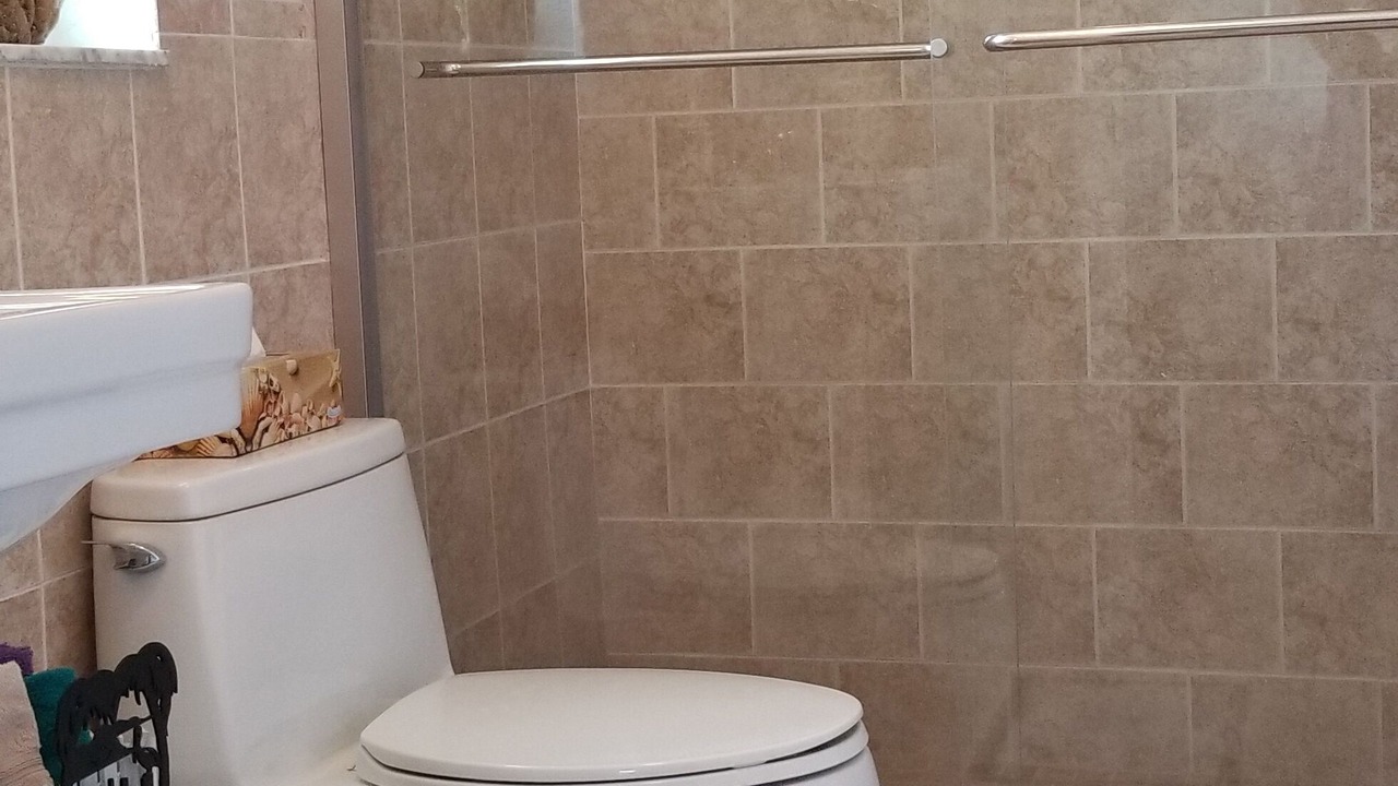 Photo of Bathroom in Oldsmar