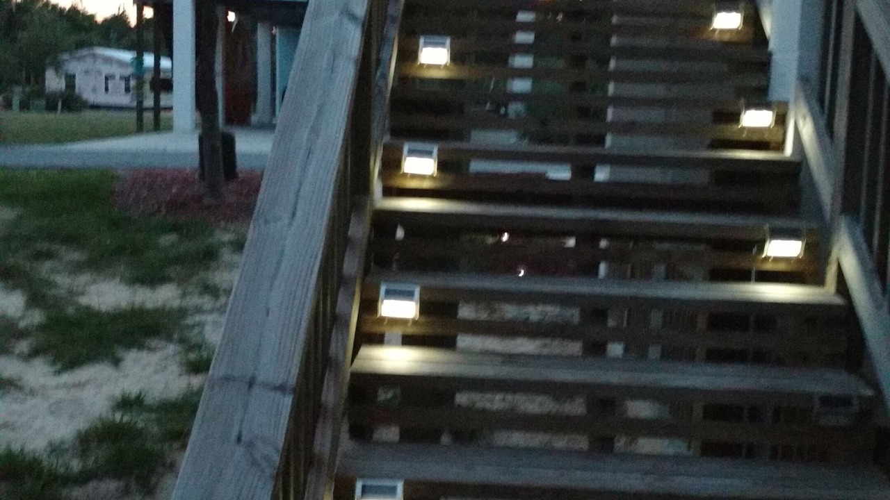 Photo of Outdoor in Steinhatchee