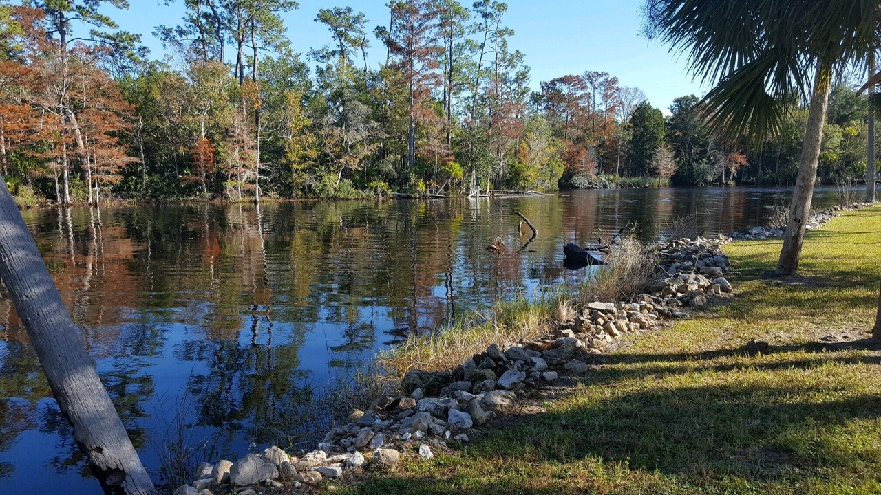 Photo of Outdoor in Steinhatchee