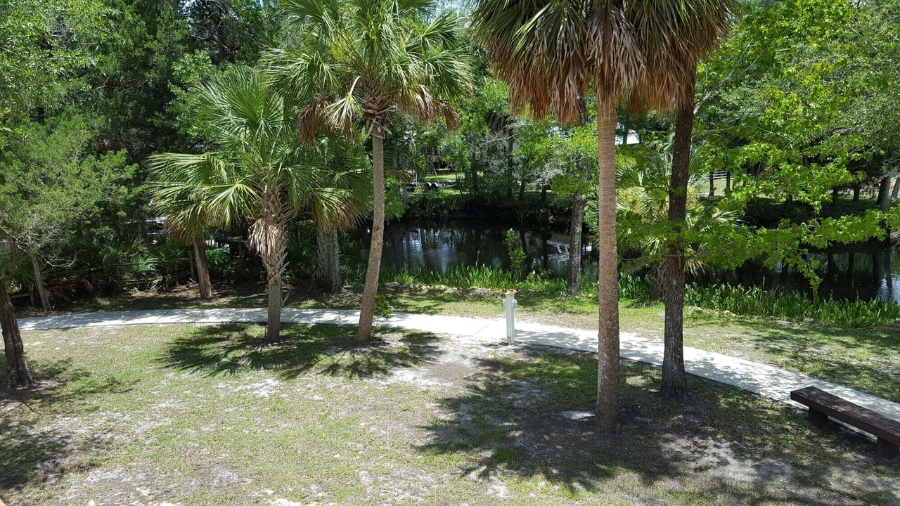 Photo of Outdoor in Steinhatchee