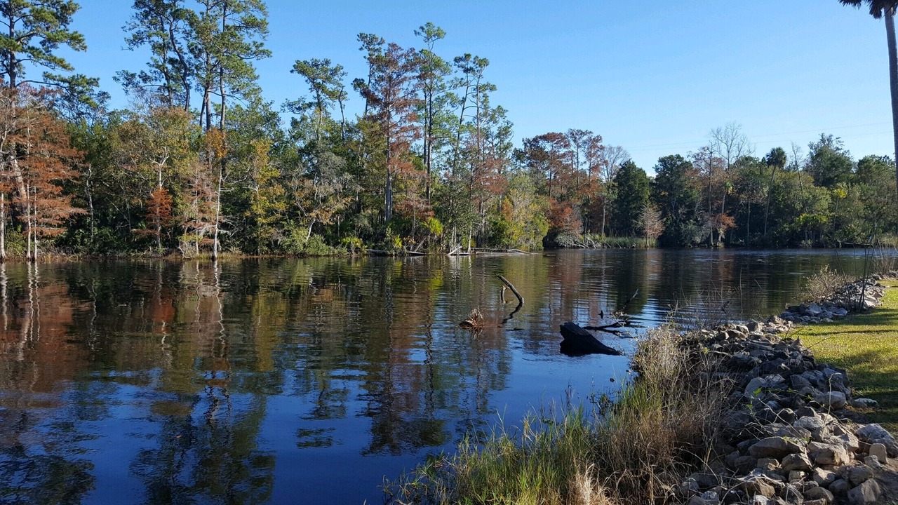Photo of Others in Steinhatchee