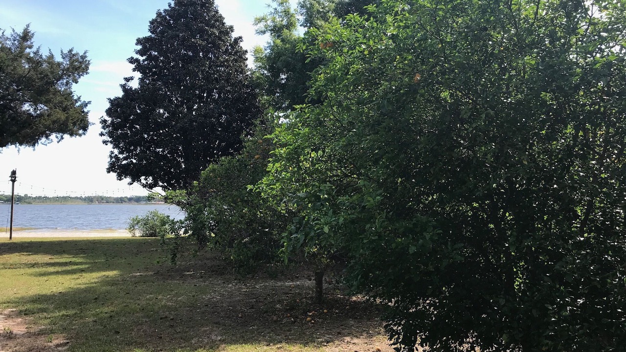 Photo of Others in Summerfield