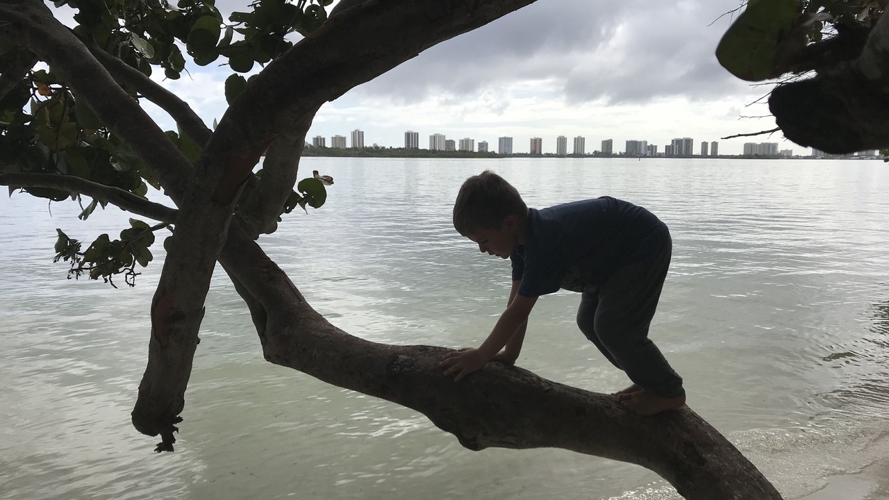 Photo of Others in Juno Beach