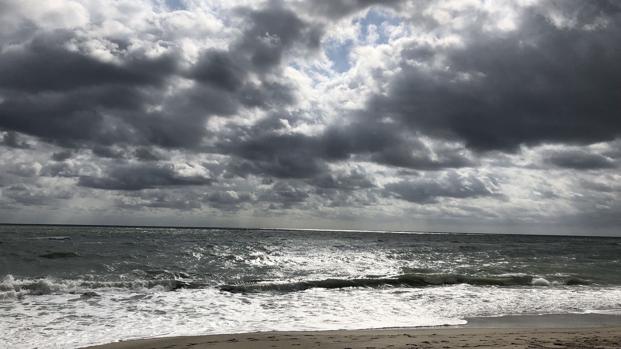 Photo of Others in Juno Beach