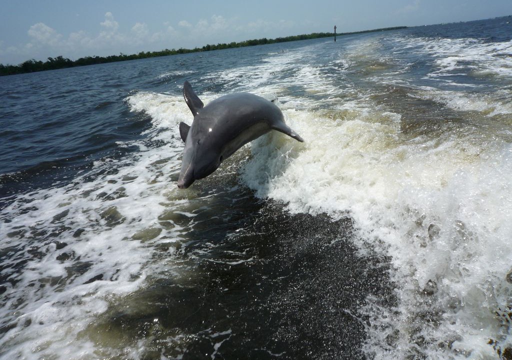Photo of Others in Eight Lakes