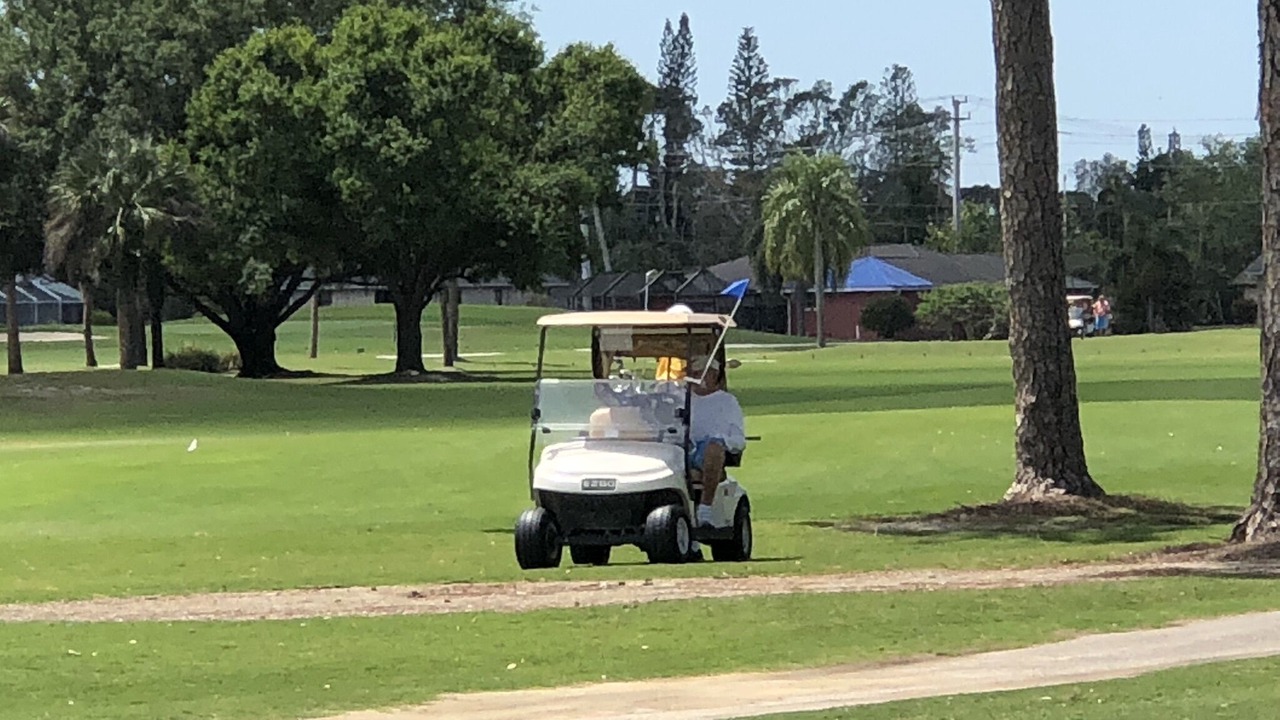 Photo of Others in San Carlos Park