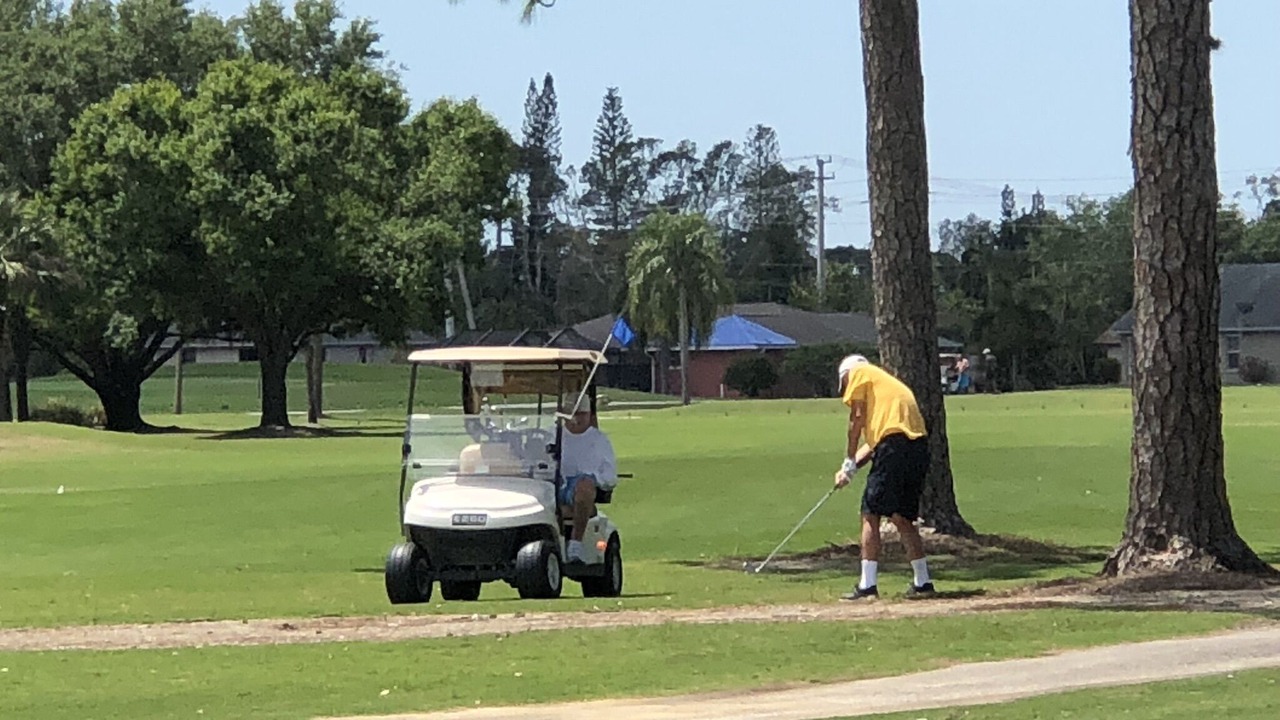 Photo of Others in San Carlos Park