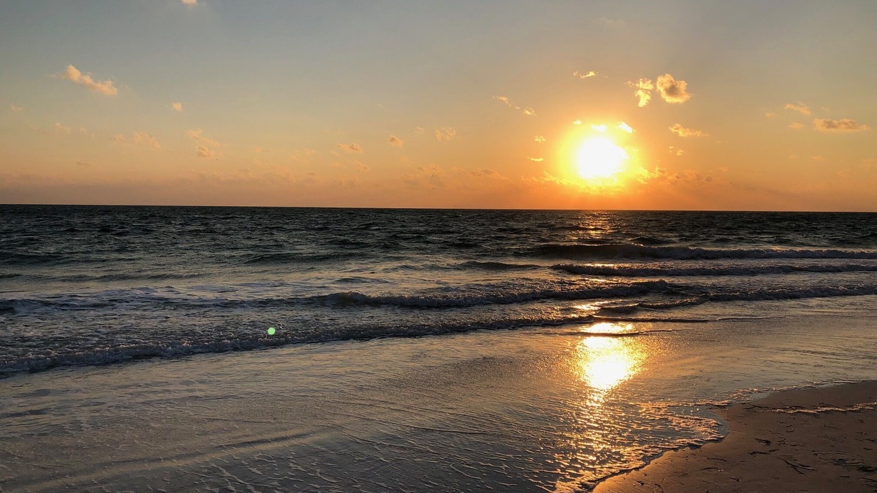 Photo of Others in Bradenton