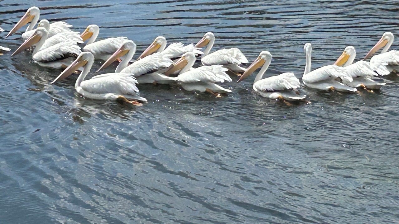 Photo of Others in Bradenton