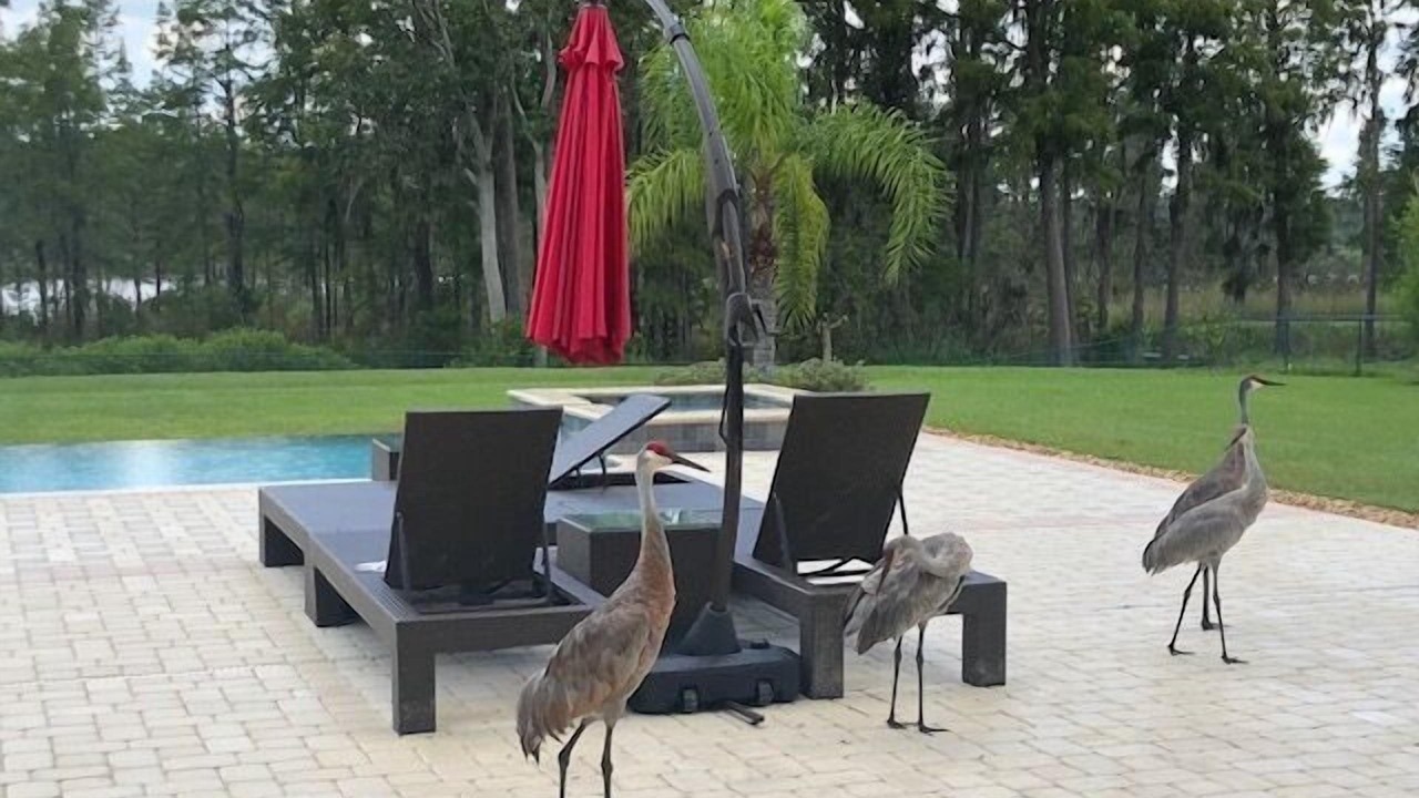 Photo of Outdoor in Groveland