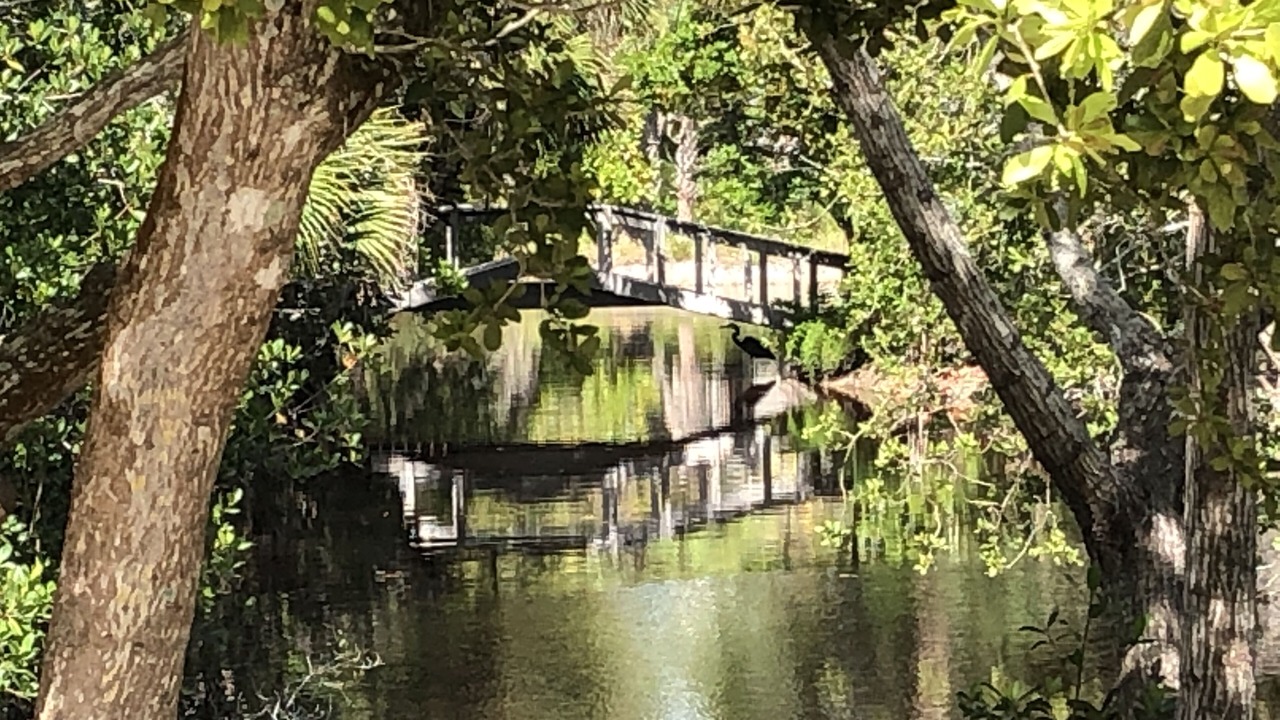 Photo of Others in Gulf Pines