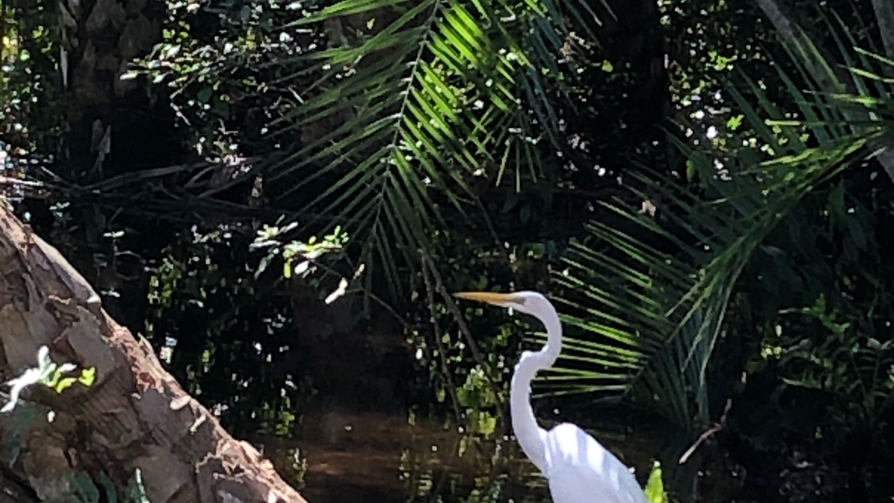 Photo of Others in Gulf Pines