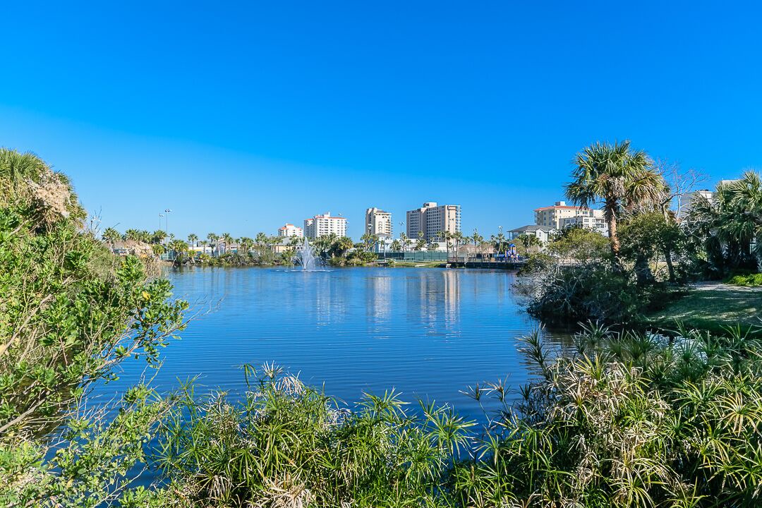Photo of Others in Jacksonville Beach