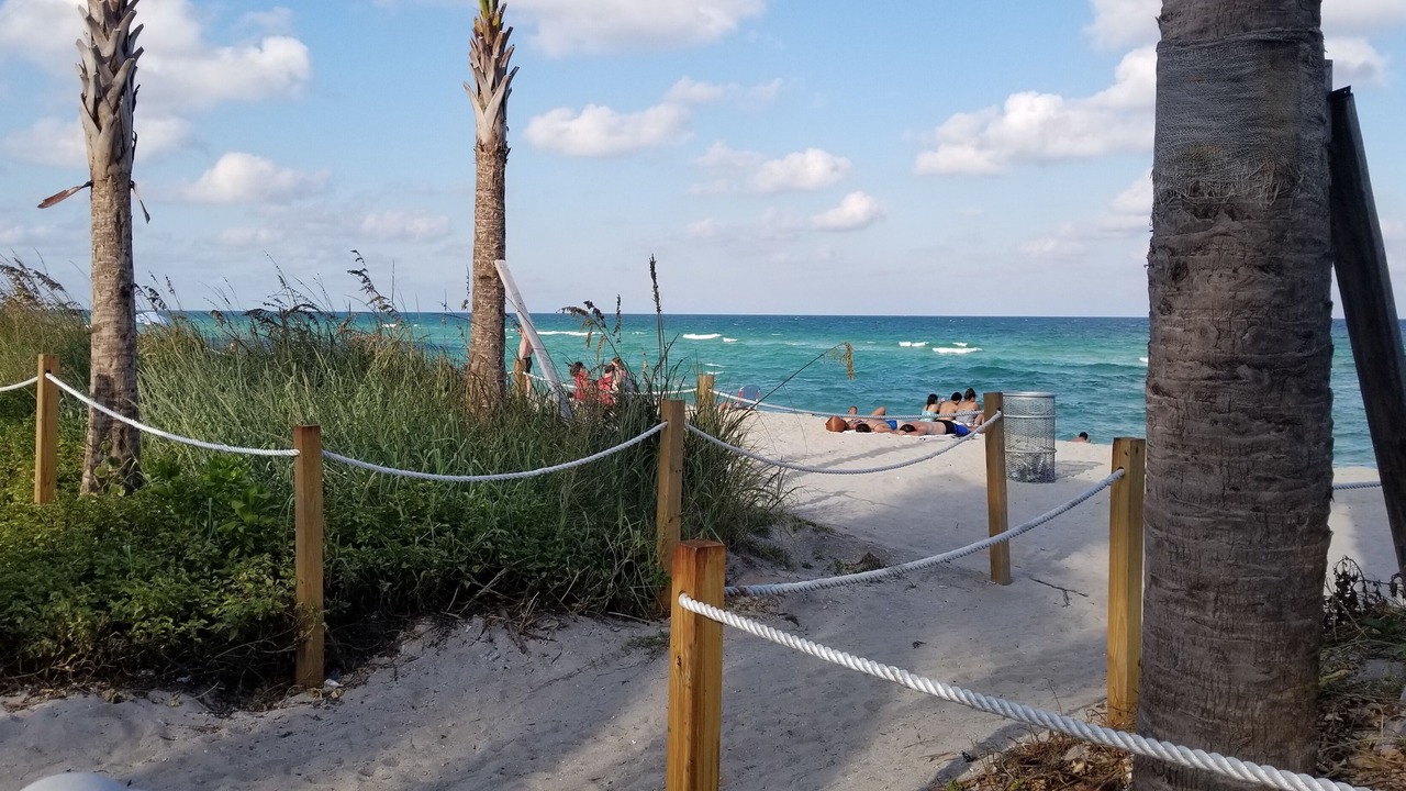 Photo of Others in Mid Beach