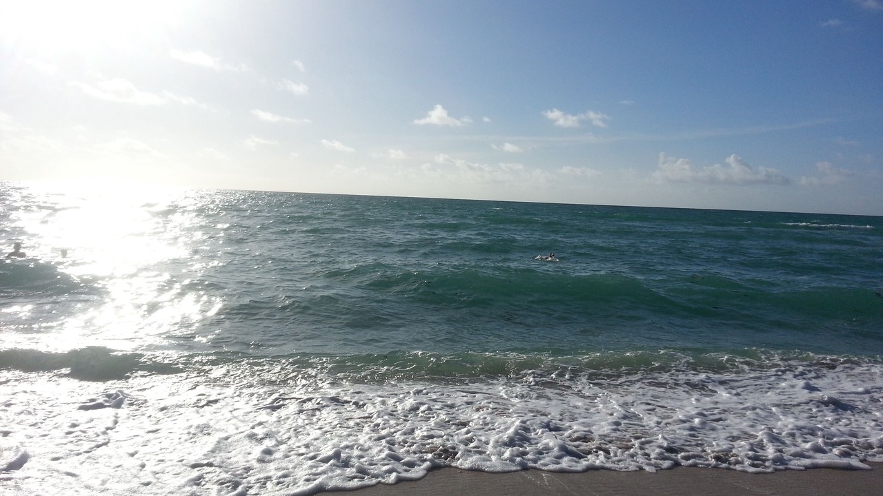 Photo of Others in Mid Beach