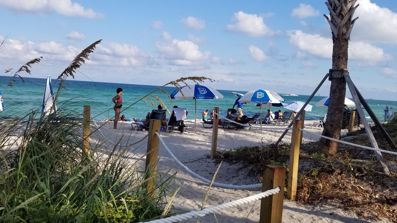 Photo of Others in Mid Beach