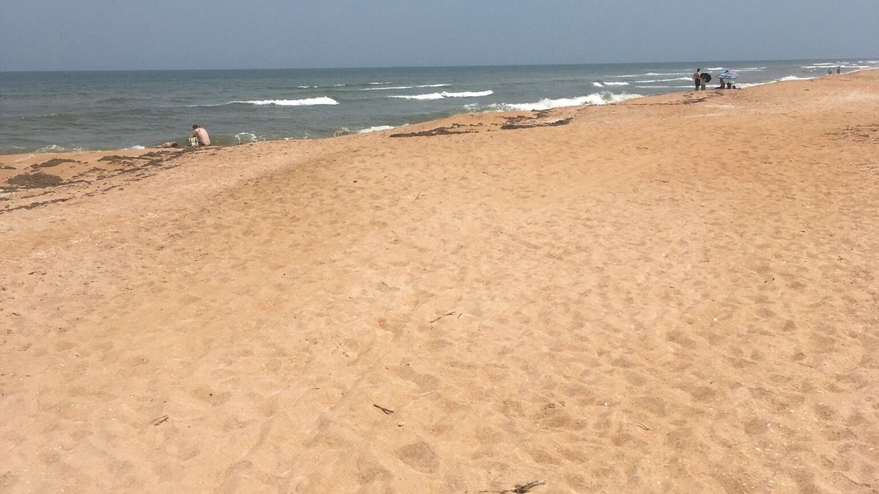 Photo of Others in Ormond-by-the-Sea