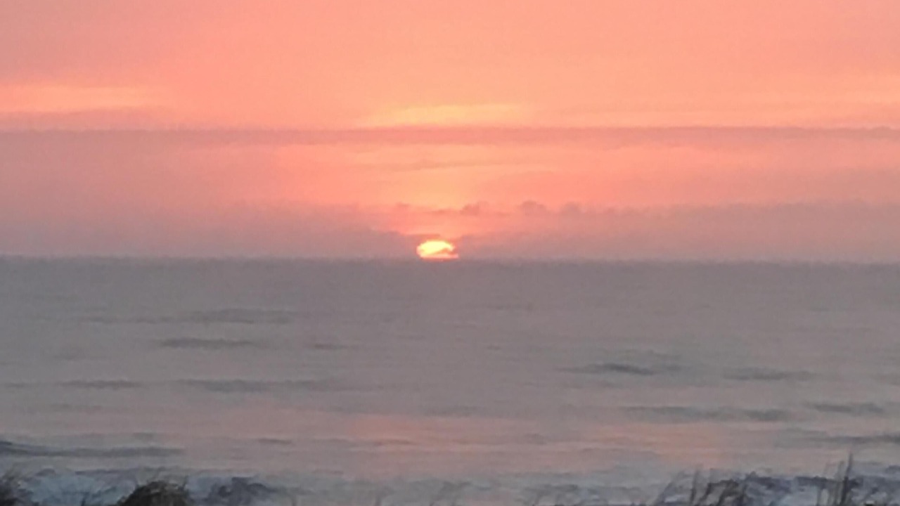 Photo of Others in Ormond-by-the-Sea