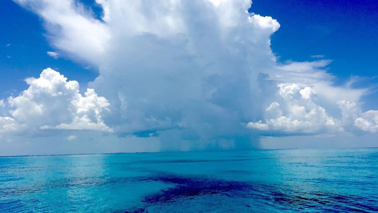 Photo of Others in Cudjoe Key