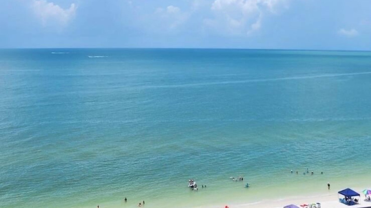 Photo of Others in Marco Island