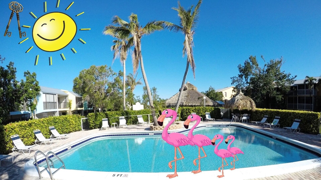 Photo of Outdoor in Key Largo