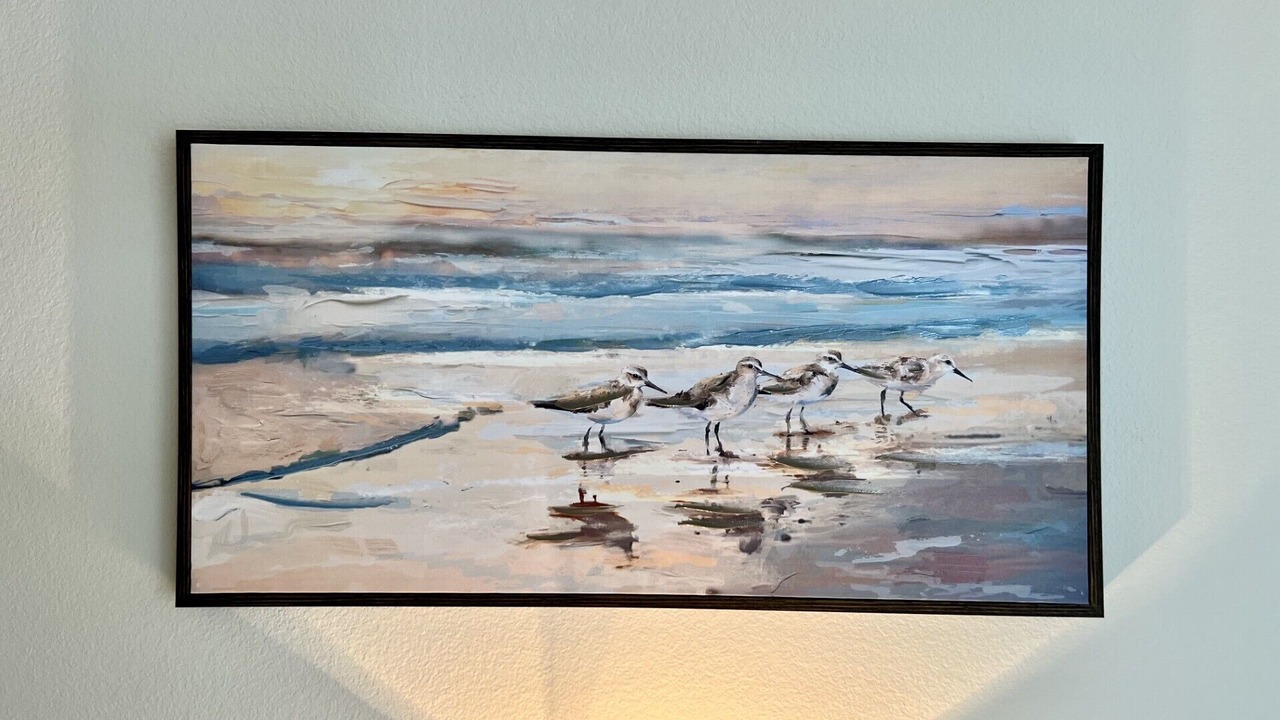 Photo of Others in Sanibel