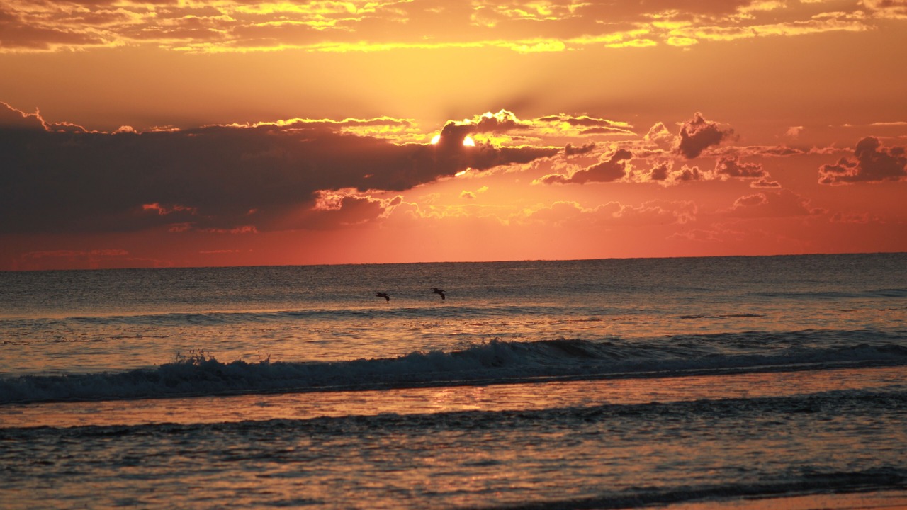 Photo of Others in New Smyrna Beach