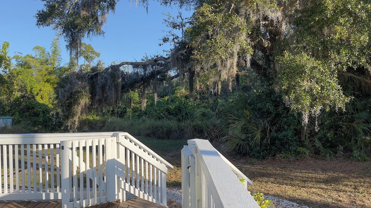 Photo of Others in Safety Harbor