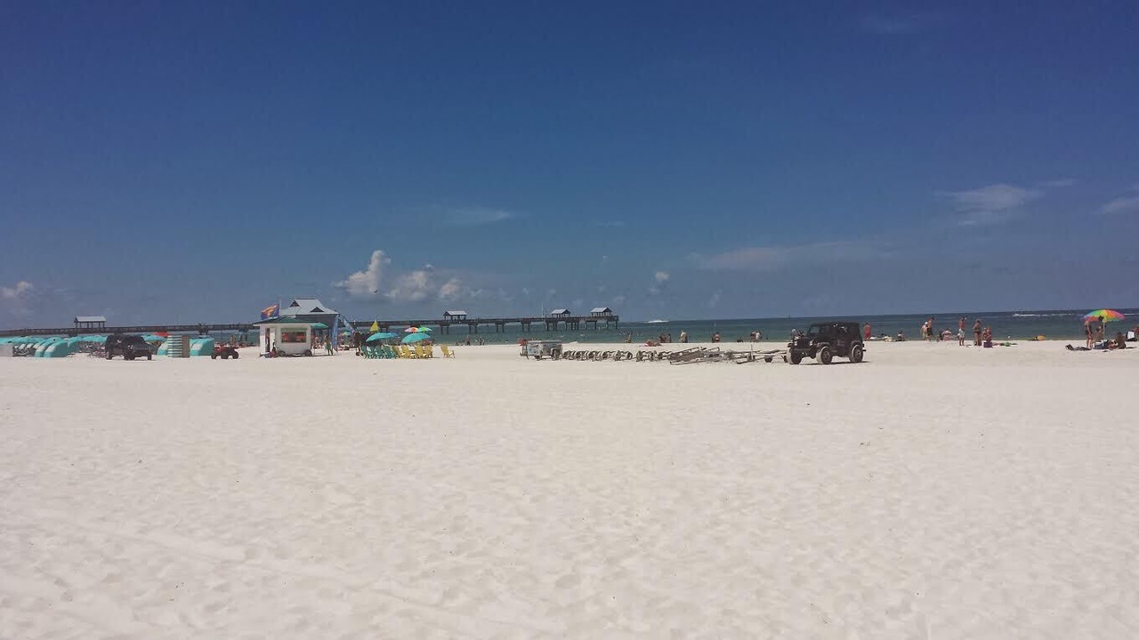 Photo of Others in Clearwater