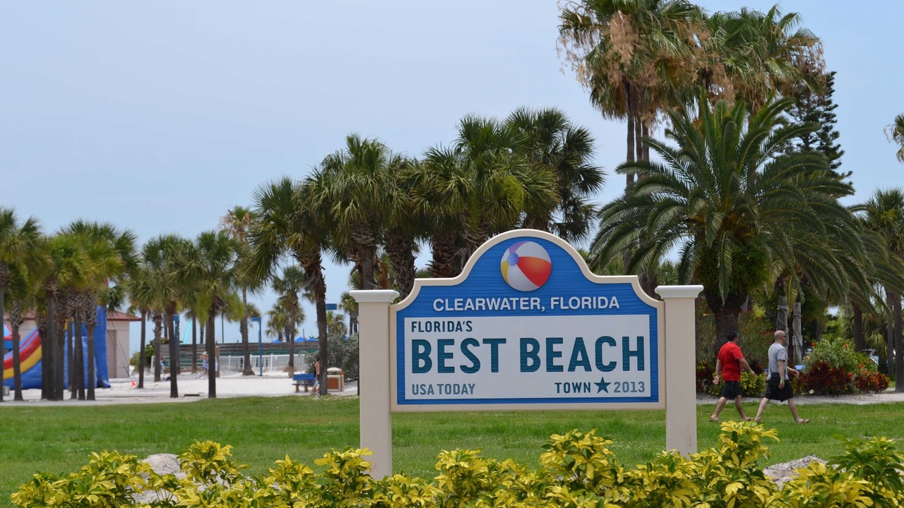 Photo of Others in Clearwater