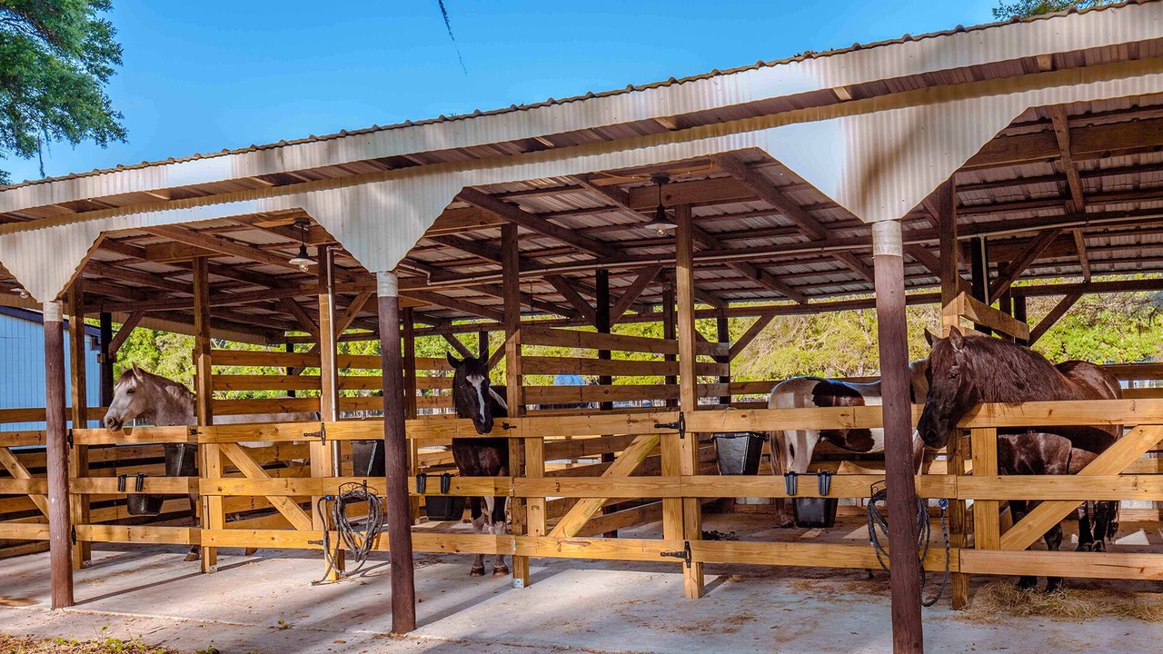 Photo of Outdoor in Brooksville