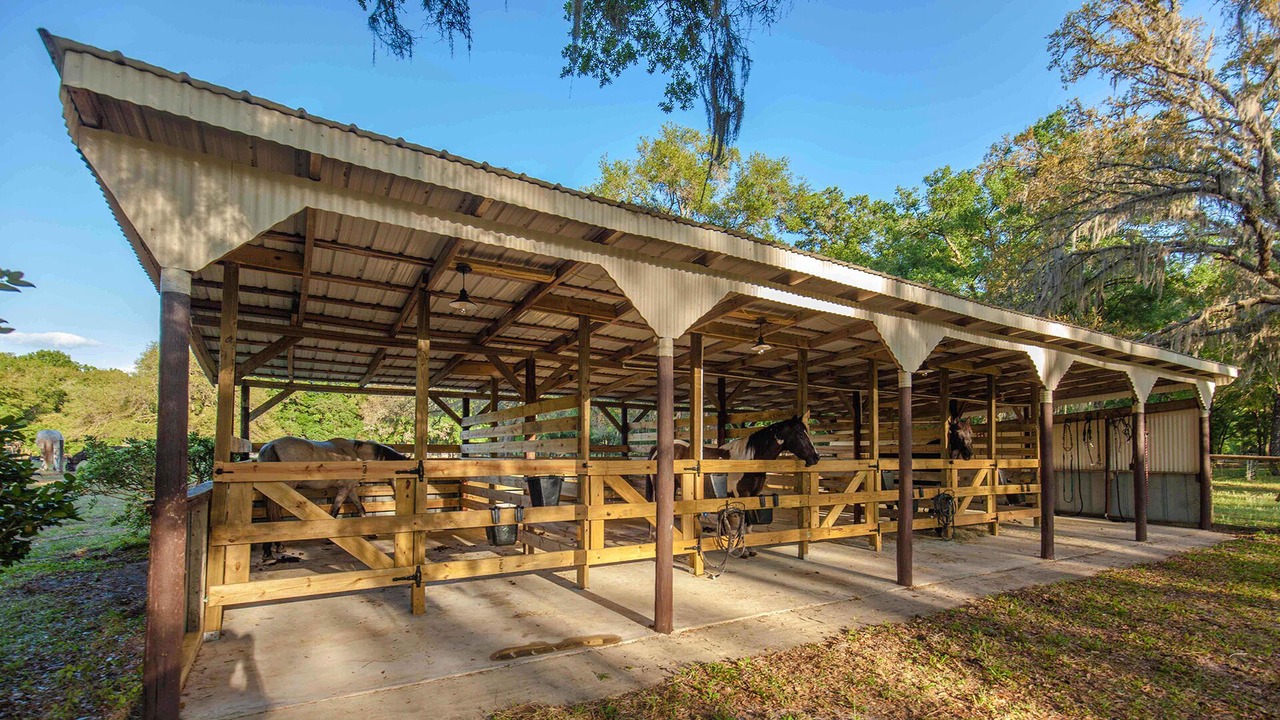 Photo of Outdoor in Brooksville