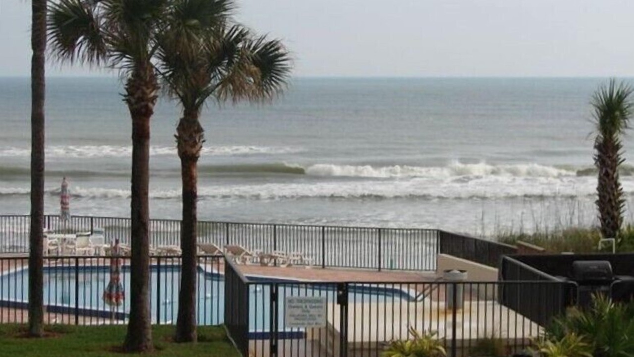 Photo of Others in New Smyrna Beach