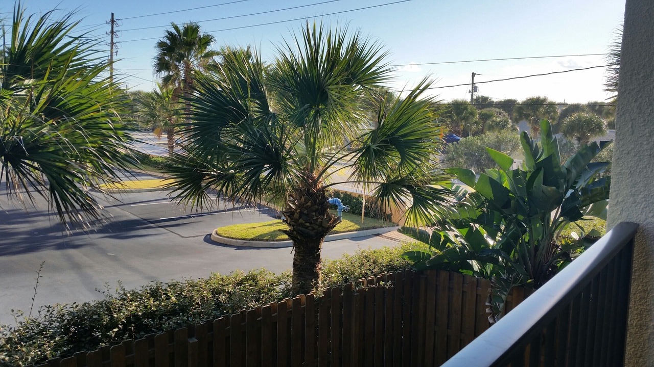 Photo of Others in New Smyrna Beach